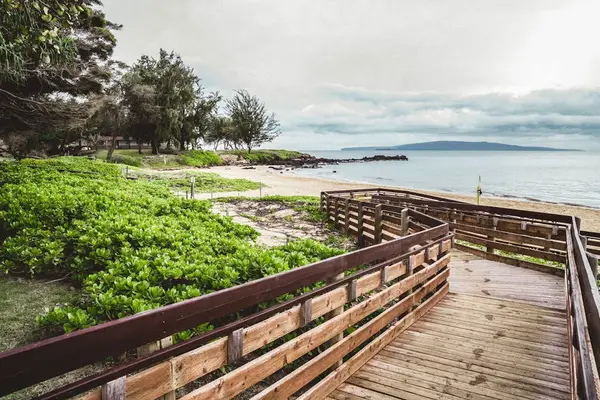 Scenic Coastal Boardwalk Adventure