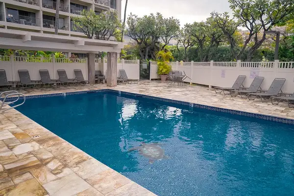 Sparkling Resort-Style Swimming Pool