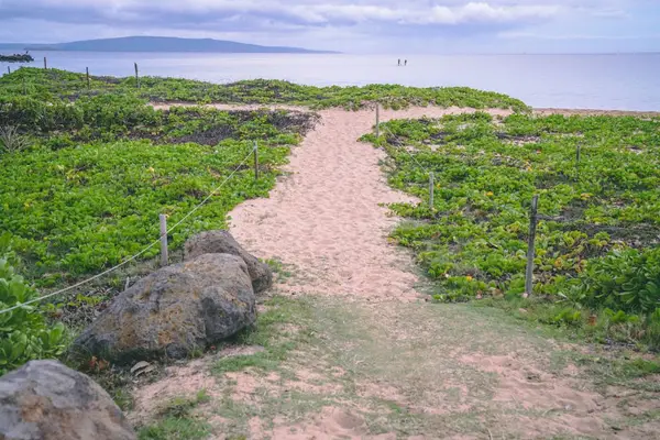 Short Stroll To The Ocean Shore