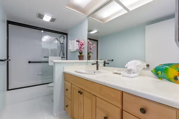 Guest bathroom with walk-in shower.