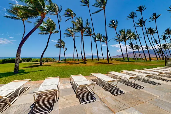 Palm Lined Beachfront Escape