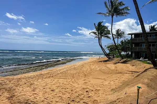 Golden Sand Beach Paradise