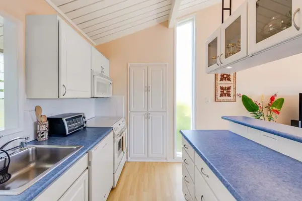 Fresh Kitchen Filled With Natural Light
