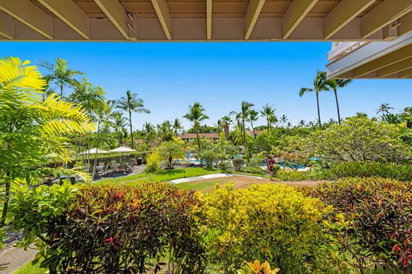 Lush Tropical Landscape Views