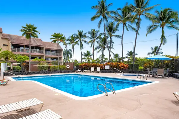 Sparkling Resort Pool Surrounded By Palms