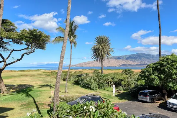 Scenic Tropical Grounds Near The Beach