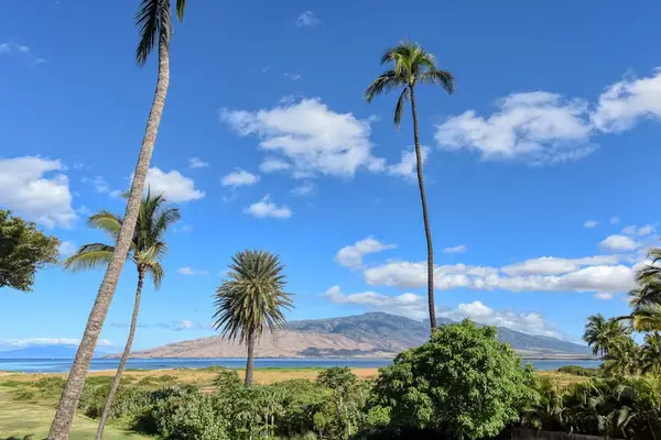 Sweeping Coastal Views In Every Direction
