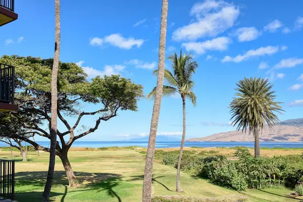 Picture-Perfect Island Landscape Views