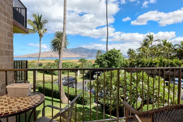 Relax Outdoors With Tropical Scenery