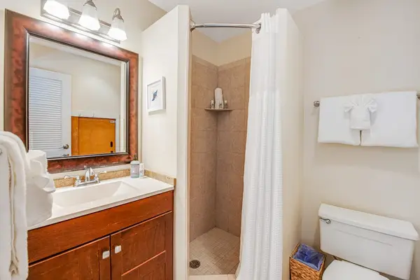 Bright Bathroom With Walk-In Shower