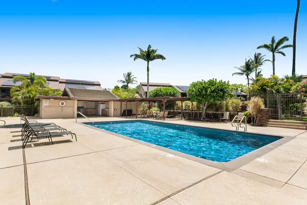 Sun Soaked Pool Oasis Surrounded By Palms