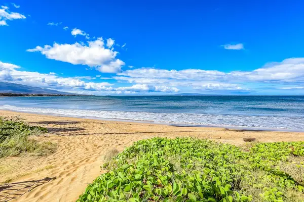 Golden Sands Along The Coast