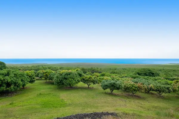 Panoramic Ocean & Forest Horizon Views from Property