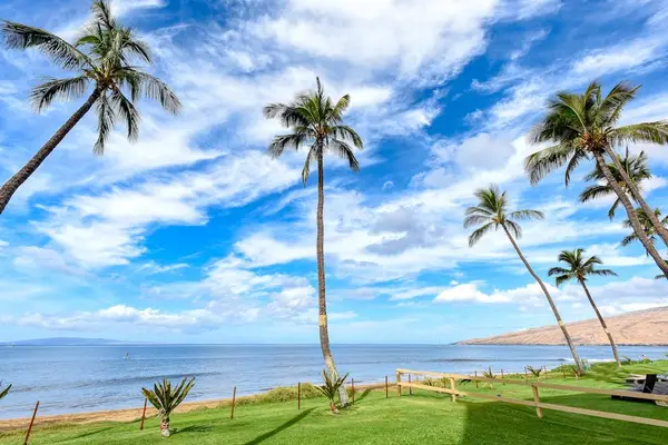 Palm Lined Lawn Overlooking The Ocean