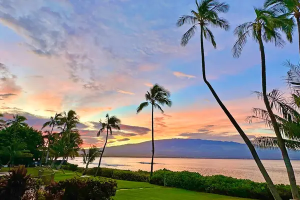 Gorgeous Maui sunsets with palm trees flowing in the breeze.
