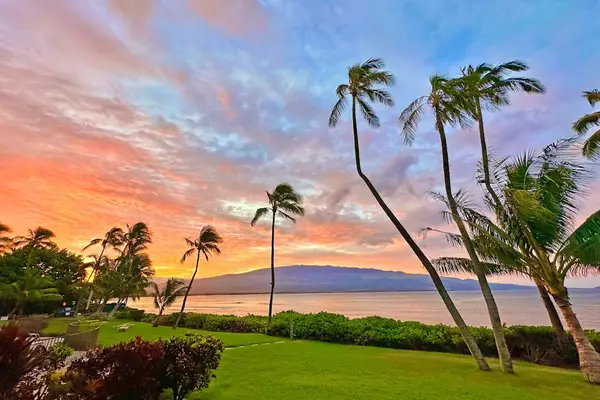 Gorgeous Maui sunsets with palm trees flowing in the breeze.