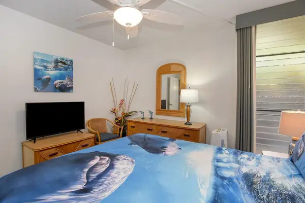 Bedroom with queen bed and flat screen tv.