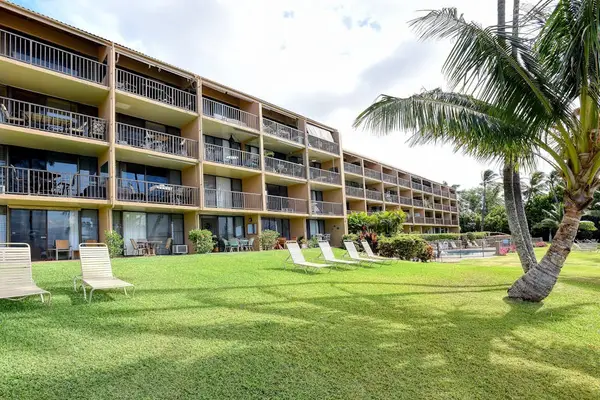 Lounge on the chairs as you hear the wavers crashing and the palm trees swaying.