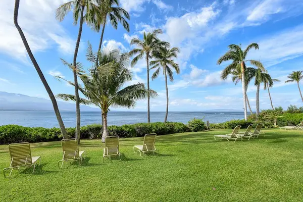 Maalaea Banyans