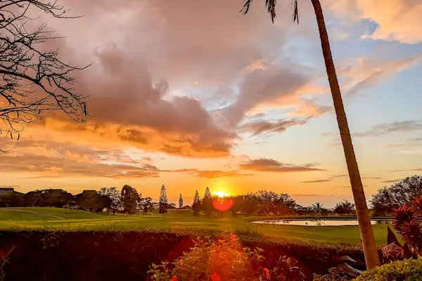 Golden Sunset Views You Will Never Forget