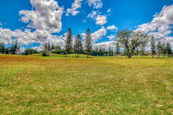 Expansive Green Spaces To Explore