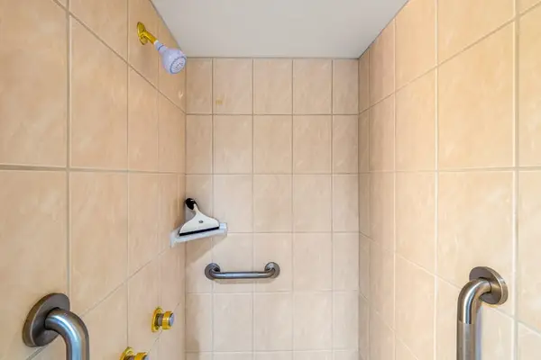 Walk In Shower With Safety Grab Bars
