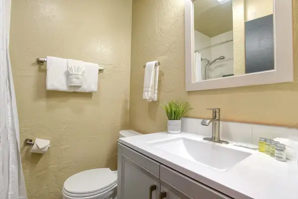 Second bathroom with matching style and natural light