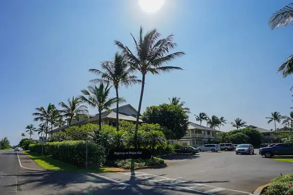 Resort entrance framed by swaying palm trees