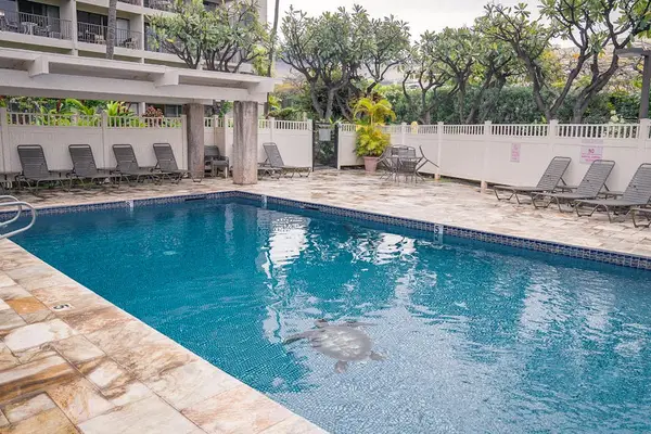 Refreshing Pool For Every Season