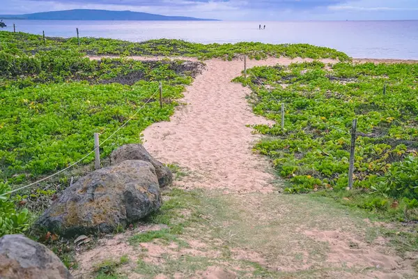 Coastal Path Leading To Paradise