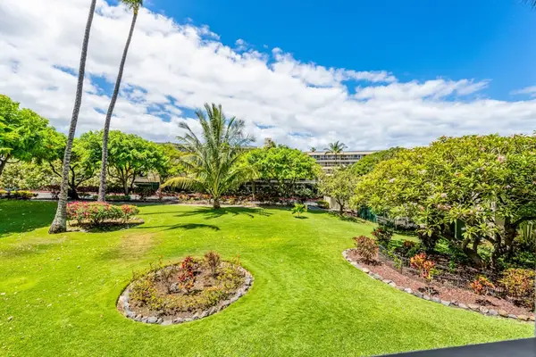 Expansive Lawn With Ocean Horizon Views