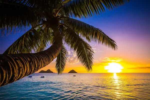 Breathtaking sunsets, unforgettable moments.