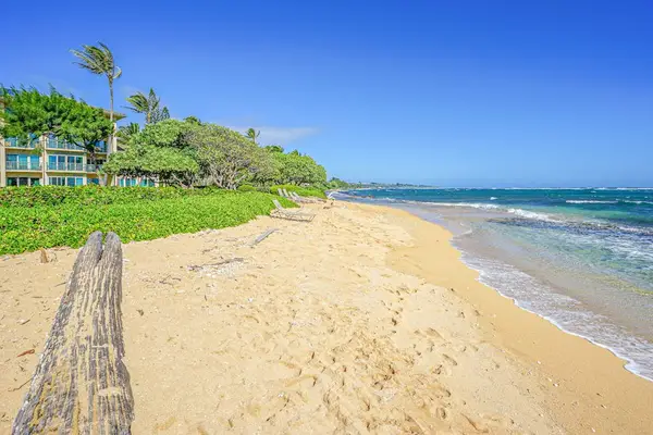 Relax on pristine white sandy beaches beneath swaying palm trees and gentle ocean breezes.