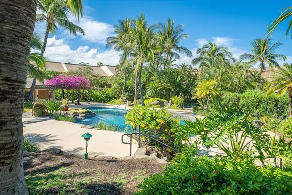 Sparkling Lagoon Style Swimming Pool