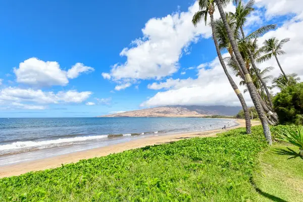 Stroll on the white sandy beaches, under the swaying palm trees while the waves crash over your feet.