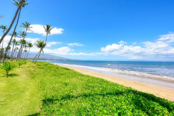 Stroll on the white sandy beaches, under the swaying pal trees while the waves crash over your feet.