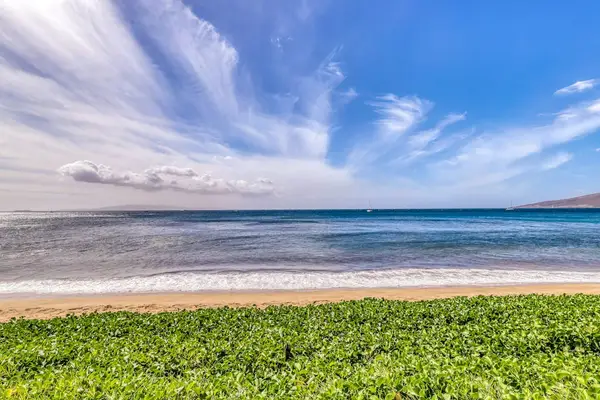 Oceanfront Serenity Awaits
