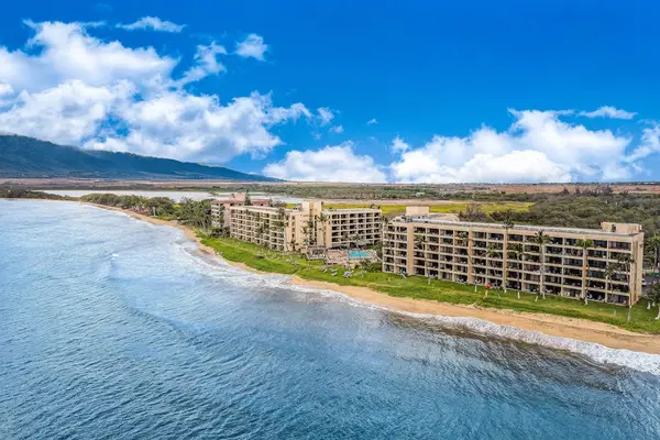 Summer Beach Resort