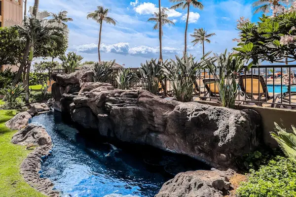 Summer Beach Resort