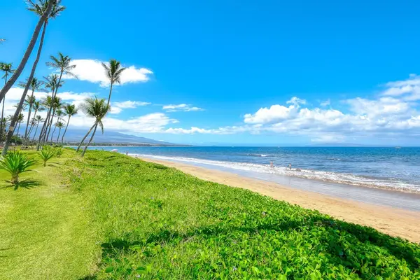 Step onto the soft sands of Sugar Beach, where miles of golden shoreline, gentle waves, and breathtaking ocean views create the perfect Maui beach experience.