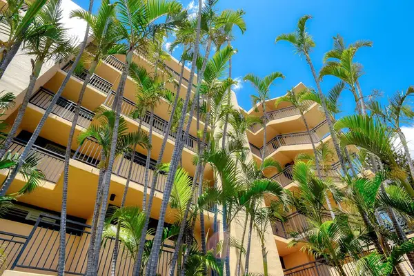 Lush Tropical Gardens Throughout The Resort
