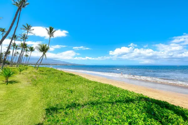 Beachfront Lawn Steps From The Shore