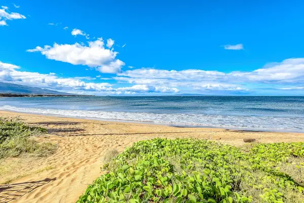 Endless Beachfront Waiting To Be Explored