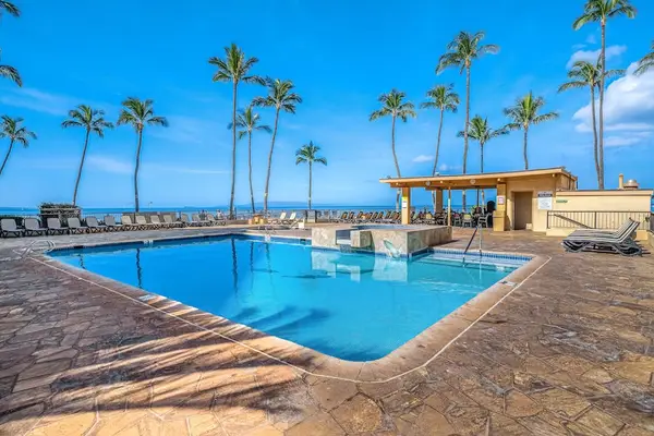 Pool with palm trees - Yes, Please!!