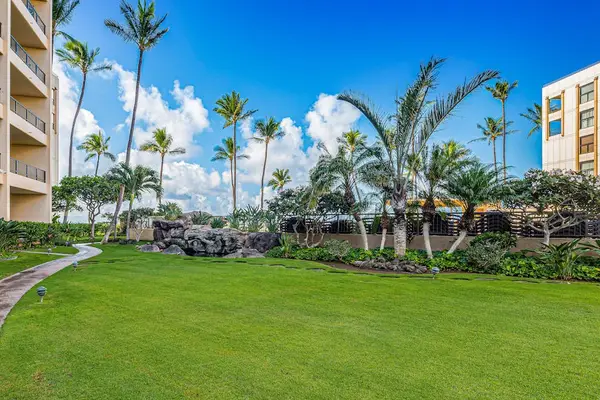 Beautiful Tropical Courtyard Oasis