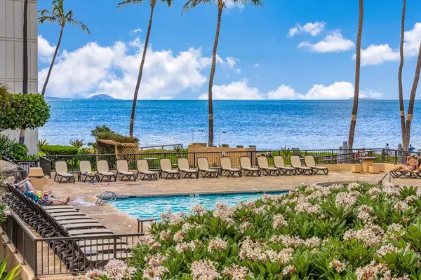 Sugar Beach Resort community pool ocean front beneath the swaying palm trees.