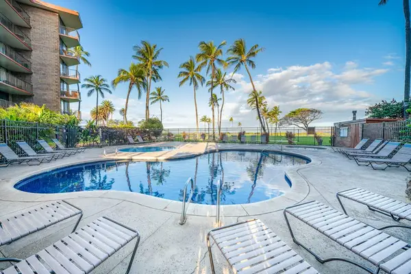 Resort Swimming Pool Deck & Palm Trees