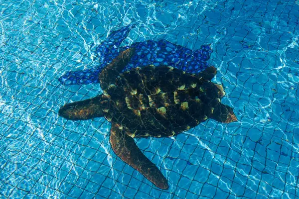Custom Sea Turtle Mosaic Detail in Resort Pool