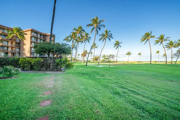 Oceanfront Lawn with Palm Trees & Pathway