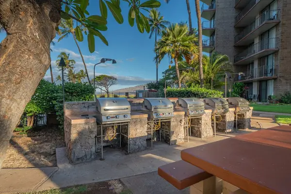 Outdoor BBQ Grilling Station & Picnic Seating